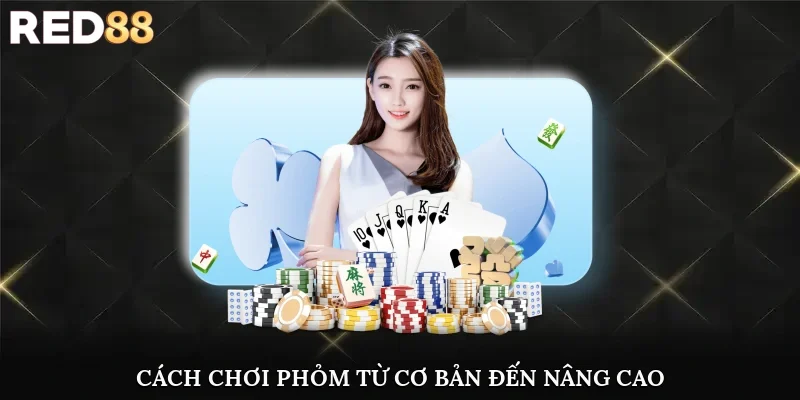 Cách chơi bài phỏm từ cơ bản đến nâng cao