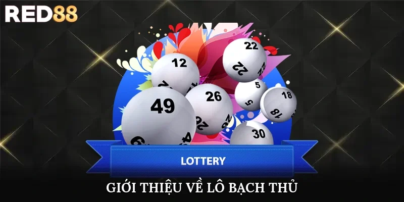 Giới thiệu về lô bạch thủ