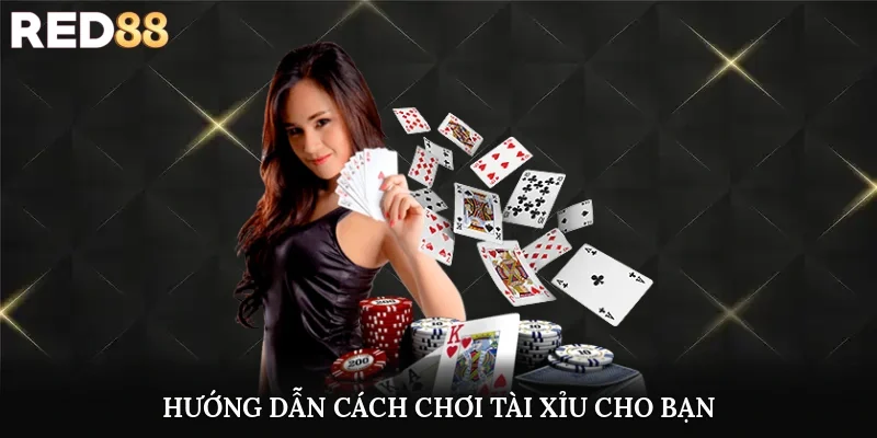 Hướng dẫn cách chơi tài xỉu cho bạn