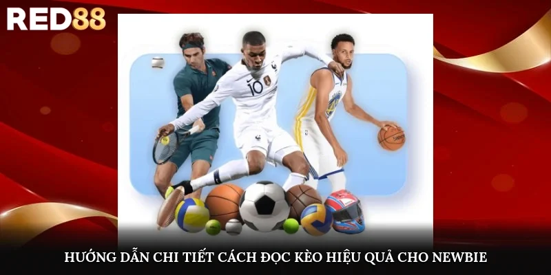 Hướng dẫn chi tiết cách đọc kèo hiệu quả cho newbie