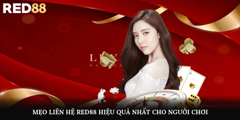 Mẹo liên hệ Red88 hiệu quả nhất cho người chơi