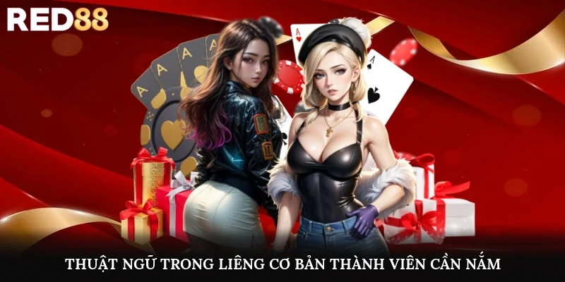 Thuật ngữ trong liêng cơ bản thành viên cần nắm