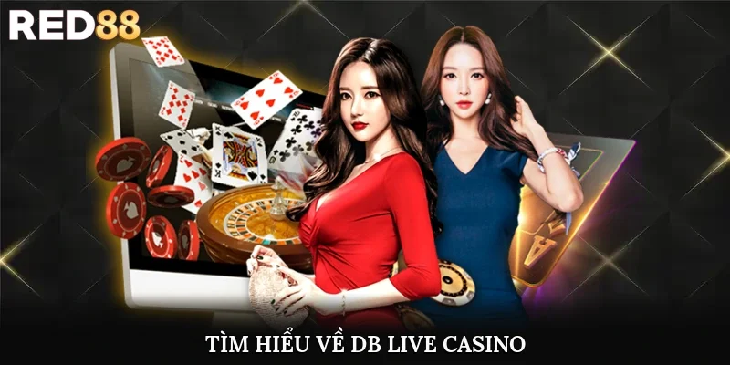Tìm hiểu về DB Live Casino