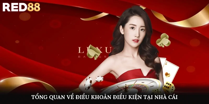 Tổng quan về điều khoản điều kiện tại nhà cái